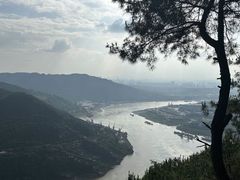 -铁山坪森林公园