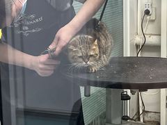 -达爱动物医院·犬猫分区·CT·复杂眼科(远洋山水分院)