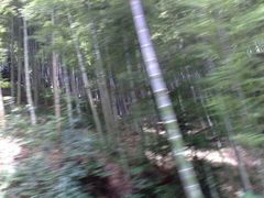 android_upload_pic-宁波浙东大竹海景区