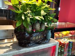 -蛙小侠(威高广场店)