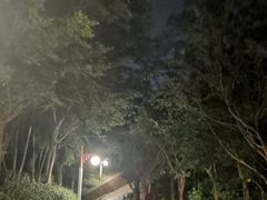 -仙人山公园