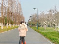 -白塘生态植物园