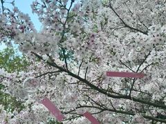 -杭州少年儿童公园