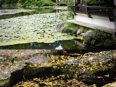 -杭州植物园