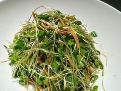 -大鸭梨烤鸭(望京店)