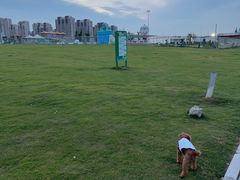 -江滩湿地公园