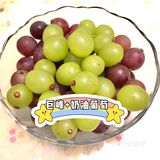 秋日瓜果飘香，爱吃水果的宝宝们有福啦[调皮]