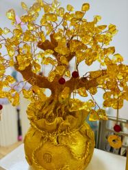 -美肤盾祛痘·问题肌头疗管理中心