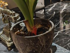 -万泊酒店(长沙五一广场国金中心店)