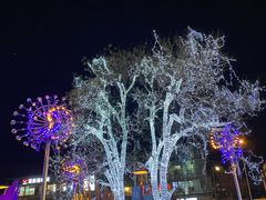 -火齐潮汕砂锅粥(五道口店)