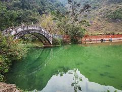 -靖西鹅泉风景区