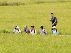 -风云岭森林公园