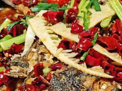 -老板恋上鱼(恒隆广场店)