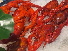 -舞虾小说.涮肉.烧烤(国顺东路店)