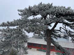 -妙峰山风景名胜区