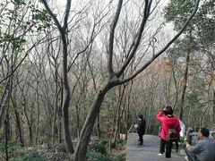 -紫金山天文台
