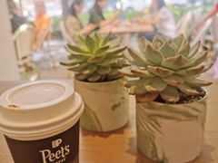 -Peet's Coffee皮爷咖啡(大学路店)