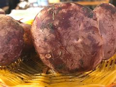 -易门野生菌府·菌海森林(月牙潭公园店)