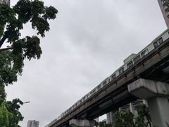 -老蒋面(南坪店)