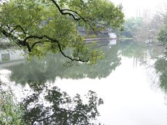 景点-柳浪闻莺公园
