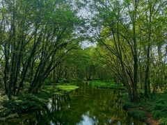 -西溪南古村落景区
