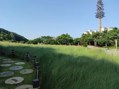 -红花山公园