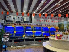 -新虹楼饭庄(崇明陈家镇店)