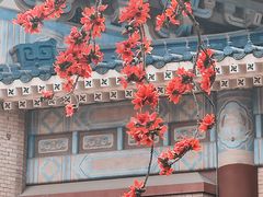 -广州中山纪念堂