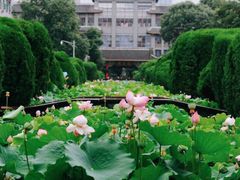 -四川大学(望江校区)