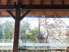-天目湖涵田半山温泉