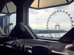 -新加坡丽思卡尔顿美年酒店