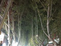 -健康路夜市