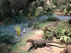 -陕西自然博物馆