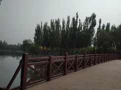 -大兴滨河森林公园