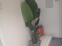 -北里·4k影院式足疗SPA馆(观音桥店)
