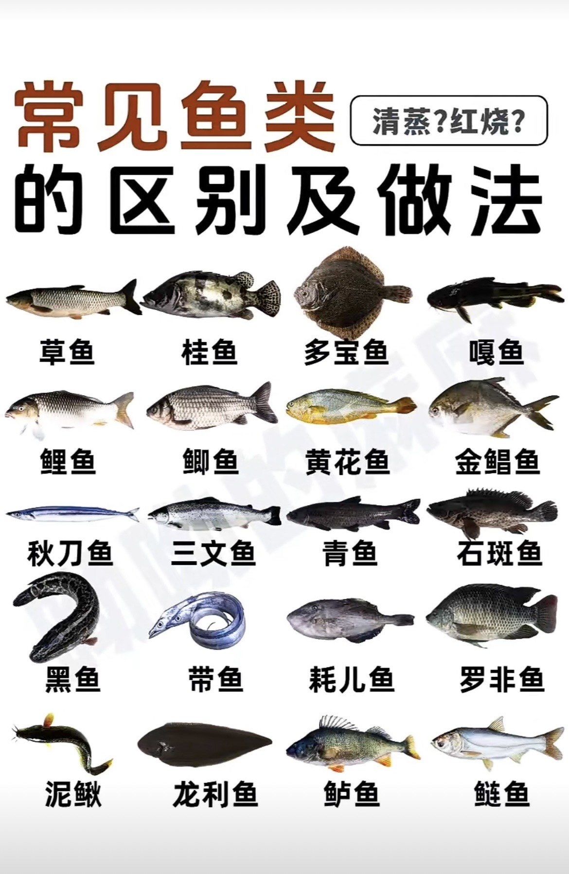 常见鱼类的区别和做法