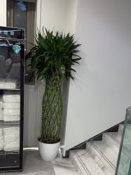 -悟空祛痘·诺奖技术专业店