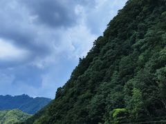 -朝阳沟