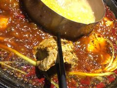 -渝涯重庆豆花老火锅(中赢国际店)