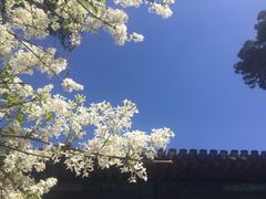 -保定直隶总督署博物馆