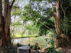 -中国科学院西双版纳热带植物园