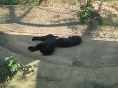 -上方山森林动物世界