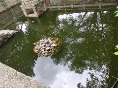 -南岳大庙