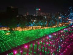 -广西壮族自治区药用植物园