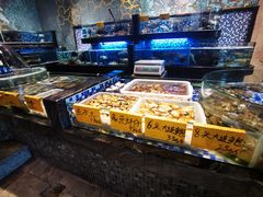 海鲜池-寻味顺德·珍之宝酒楼(银钻店)