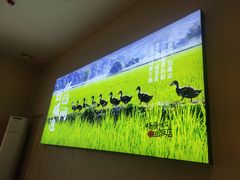 -杨厨的田园饭店(长城路店)