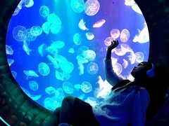 -成都浩海立方海洋公园