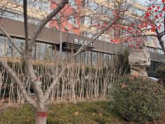 -浩运海鲜·16年专注青岛菜(石老人店)