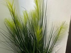 -金逸影城(大悦城IMAX激光店)