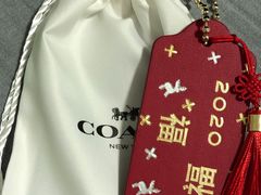 -COACH蔻驰(星光68广场店)